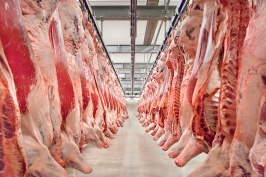Для мясоперерабатывающей промышленности